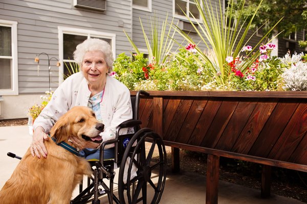 Willow Park is a pet friendly community. Whether it be your own pooch or kitty, or our pet therapy animals that visit, there is no shortage on love and admiration from animals in our community. 