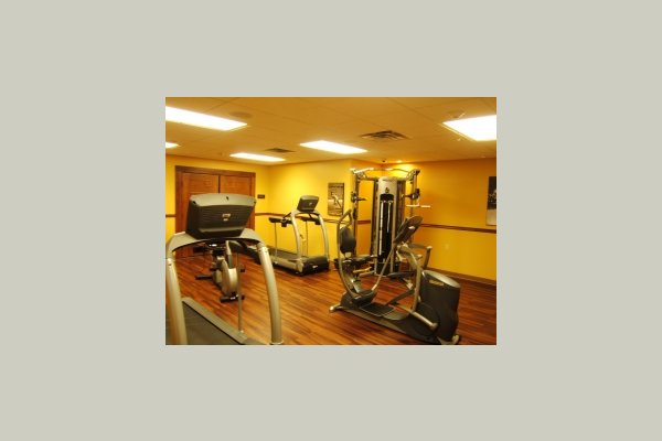 The Wellness Center
