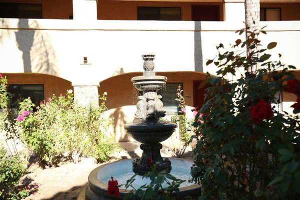One of many fountains on the campus
