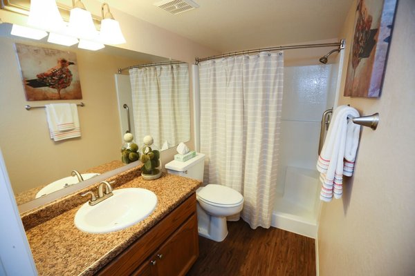 Walk in shower in Master Bathroom
