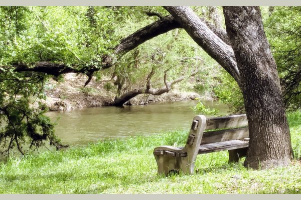 There is no other community where you can walk along the Salado Creek while you explore nature, see owls, hawks, egrets, deer, as you listen to the rippling of the water, it is gorgeous.