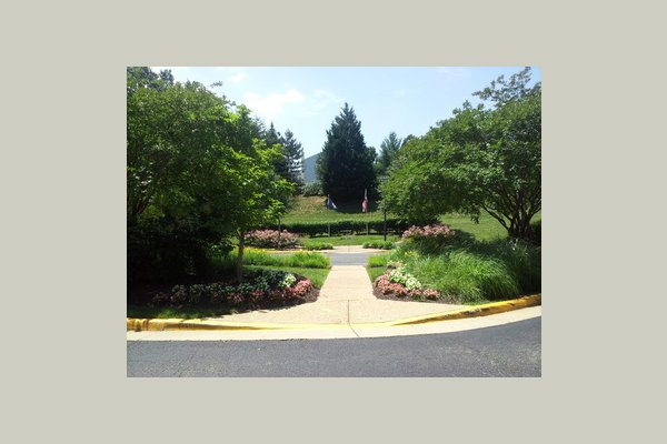 Victoria Park 2013-06-12 12.55.55