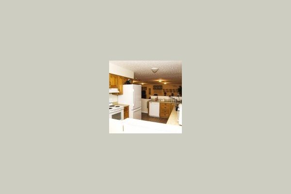 Our Family Home - Harlem Rd 127517