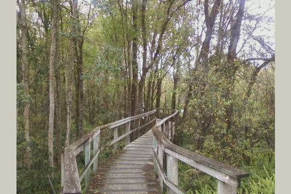 Five Magnolias Assisted Living 136279