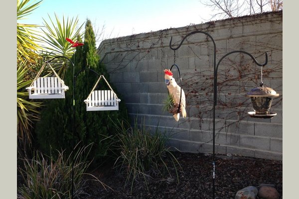 'Oasis of Rocklin' at Heaven's Garden II 136726