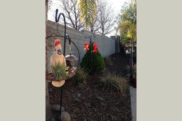 'Oasis of Rocklin' at Heaven's Garden II 136706