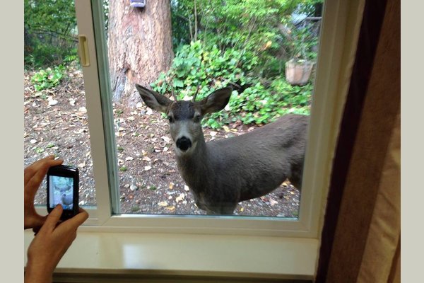 GenCare Lifestyle at Granite Falls 137002