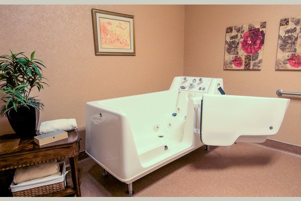 Countryside Manor 131381