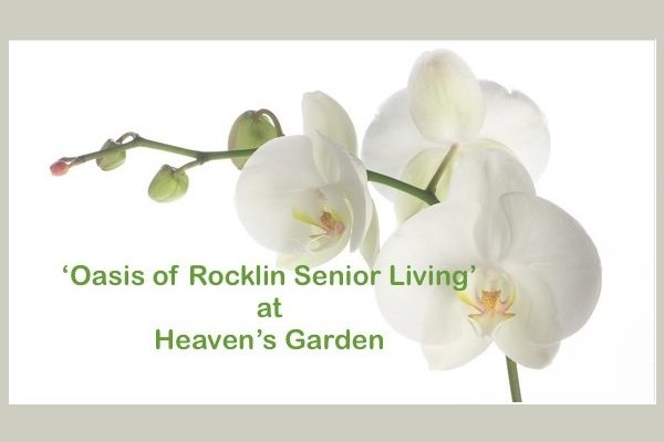 'Oasis of Rocklin' at Heaven's Garden I 137845