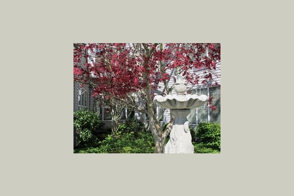 The Grove Assisted Living LLC 141079