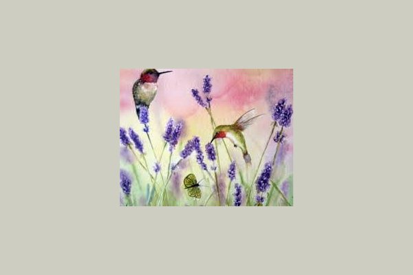 Hummingbird Hill (RCFE) 141458