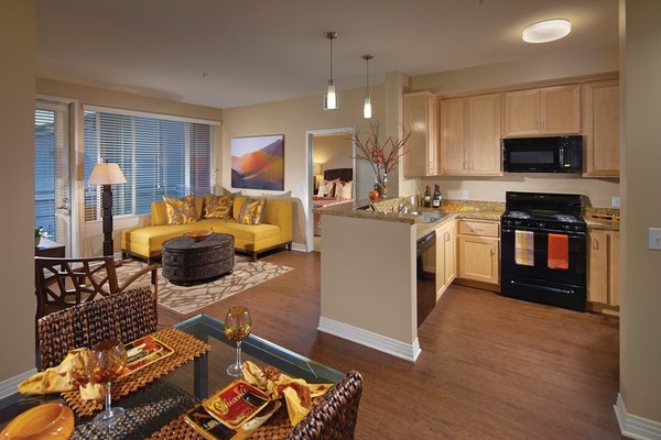 NOHO Senior Arts Colony Apartments 143659