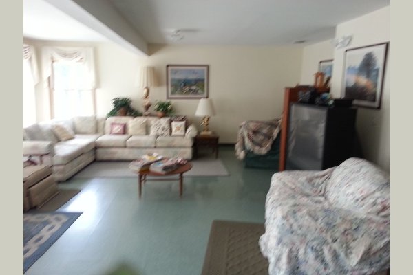 Holly House 145142