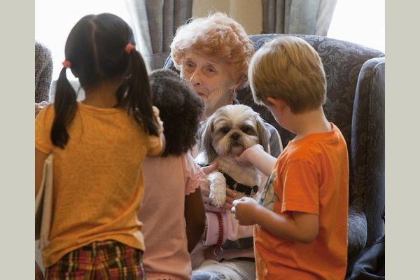 Autumn Leaves of Pearland 151165