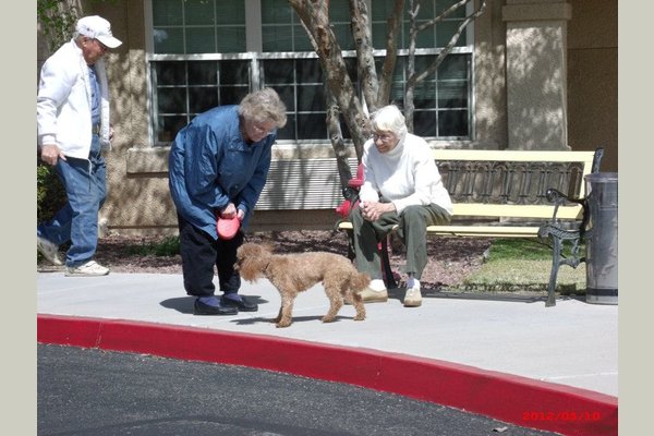 Prestige Assisted Living at Green Valley 149509