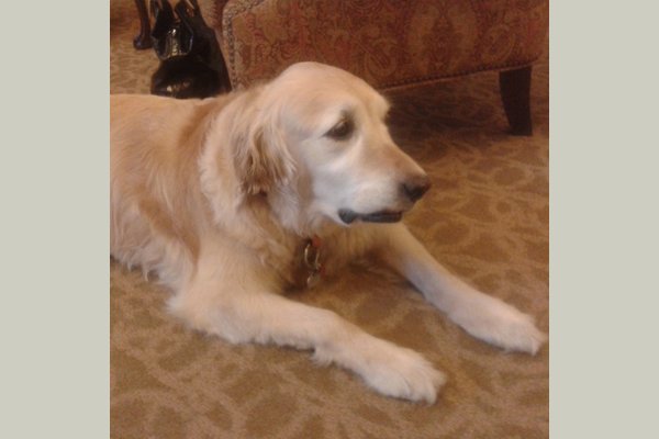 Sunrise of Unionville 156522