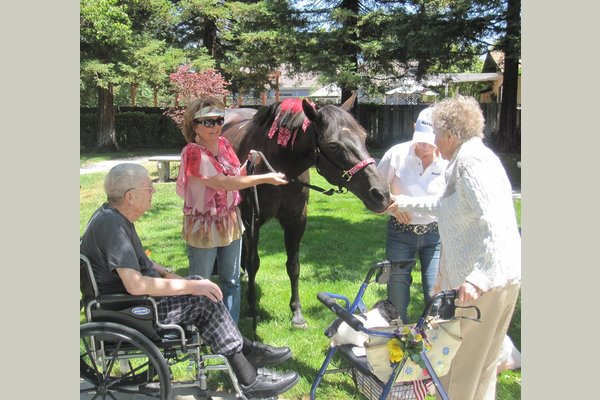 Livermore Valley Senior Living 162535