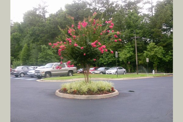 Sandston Plateau Retirement Community 164250