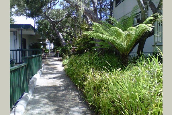 The Del Monte Assisted Residential Care 164863