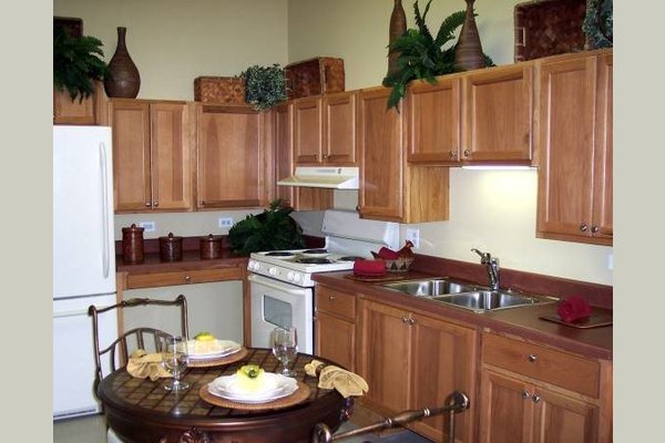 Renaissance Saint Luke 166575