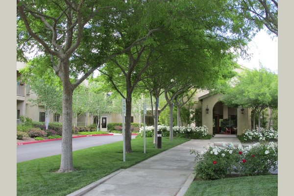 Winding Commons 168162