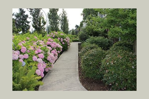 Bethshan Gardens 168468