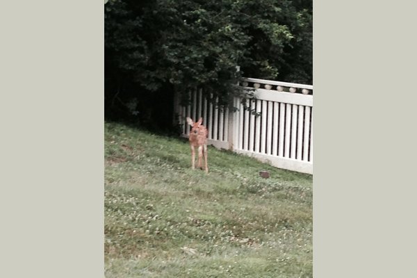 Asheir Manor LLC 168904