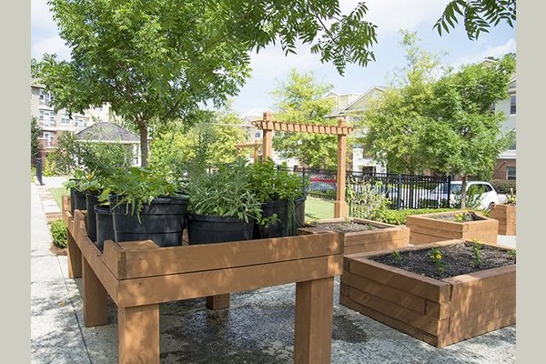 Alta Johns Creek 171499