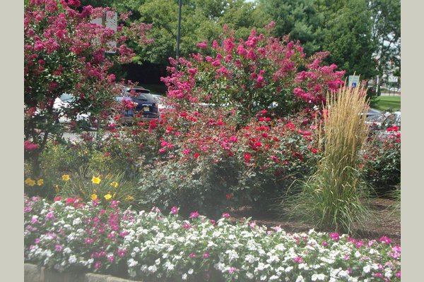 Monmouth Crossing Assisted Living 171873