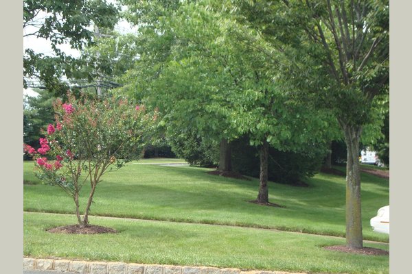 Monmouth Crossing Assisted Living 171881