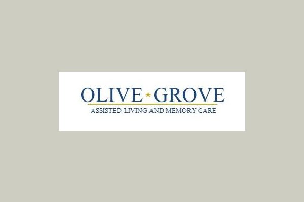 Olive Grove 172977