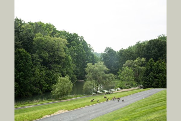 Our Leader Heights campus offers many outdoor walking paths as well as a pond for residents and guests to enjoy. Bring your fishing pole!