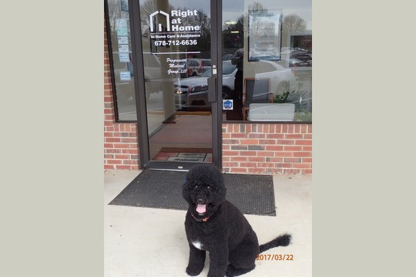 Myla our Therapy Dog