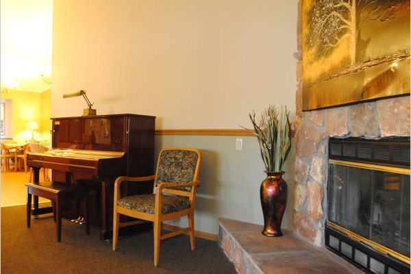 Piano and fireplace in the living room