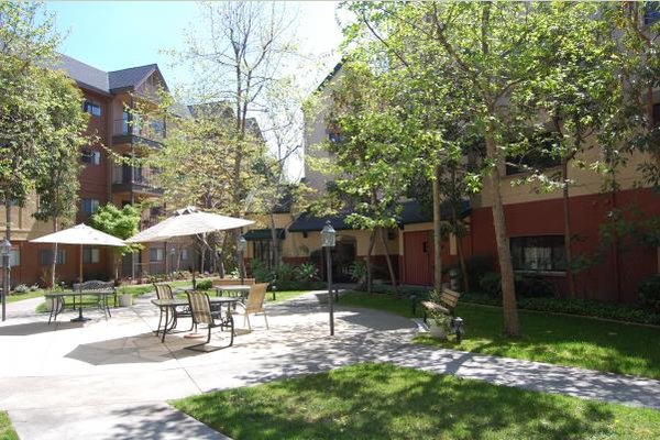Our beautiful courtyard!
