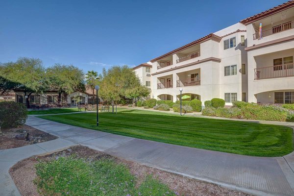 Pet friendly courtyard