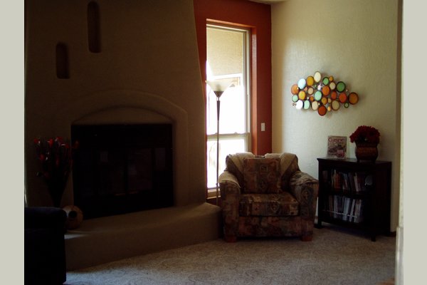 Den with fire place