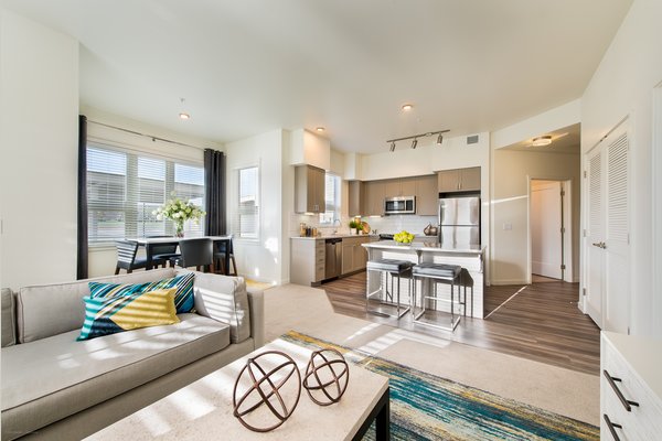 Light & Bright Apartments