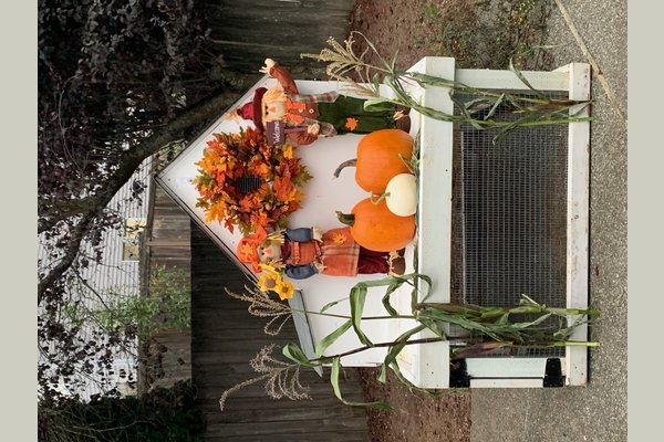 Back yard fall decor 2020