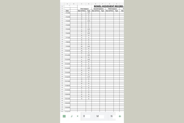 Although it is not mandated by law, all caregivers of AFH at Silver Lake, LLC keep tract of each resident's bowel status by diligent documentation and provide medications as needed per order. 