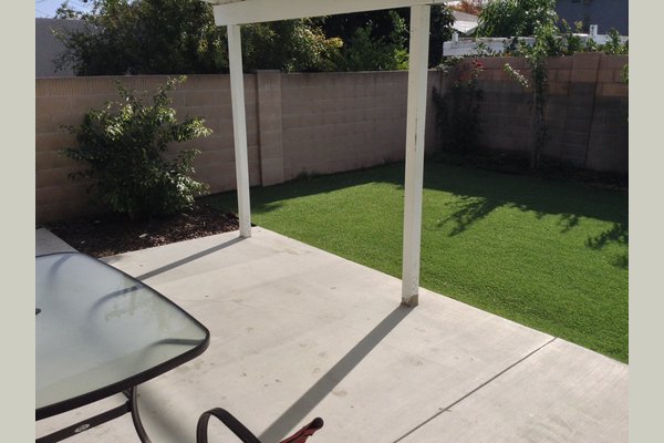 Beautiful back yard with artificial grass and fruit trees.
