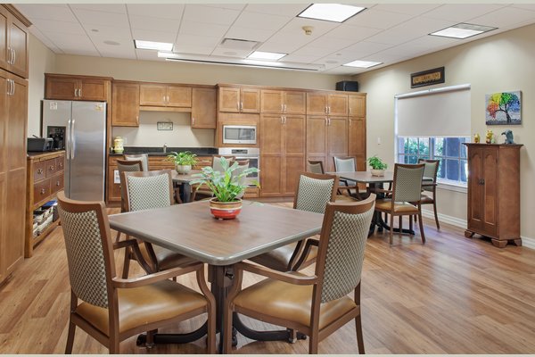 senior living in tampa florida