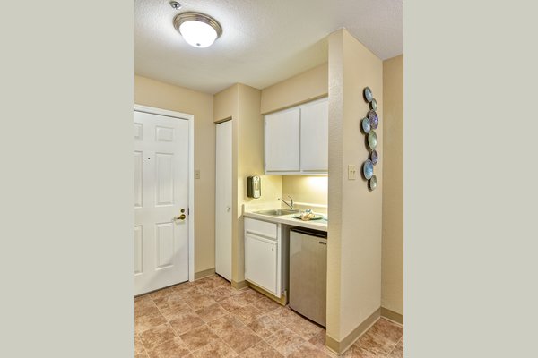 Studio Apartment Kitchenette 