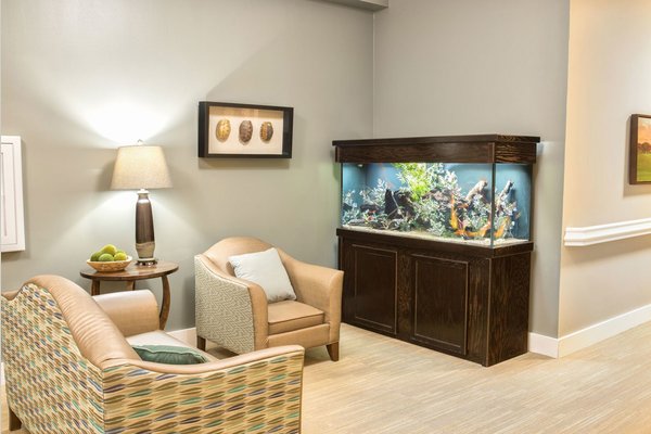 Fish tank in hallway