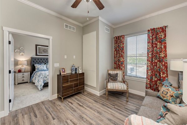 Living room and bedroom
