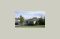 Elite Elder Care 3009