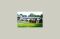 Habersham House 34831
