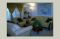 Verdant Grove 72780
