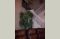 Comfort Personal Care Home 104709