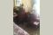 Gracious Care Home - Allen
